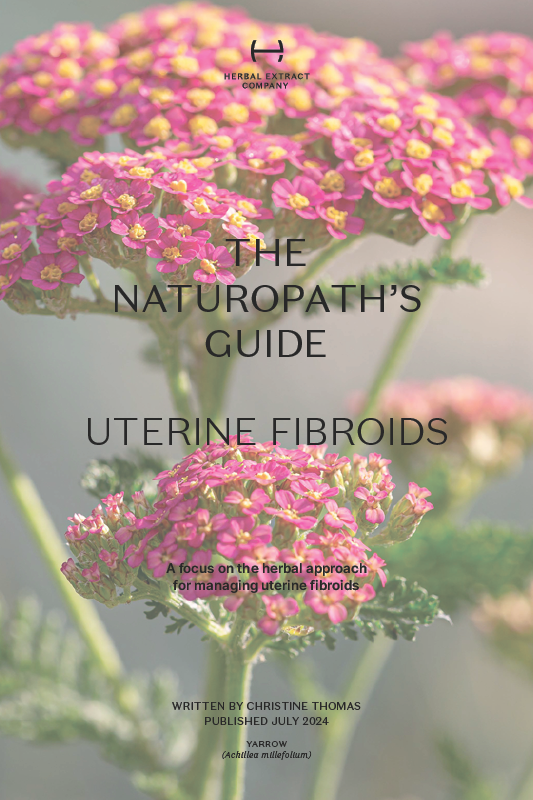 Uterine Fibroids
